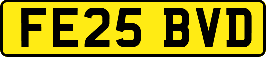 FE25BVD