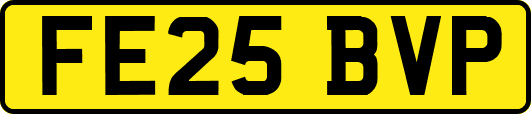 FE25BVP