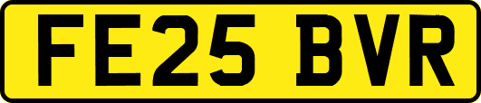 FE25BVR