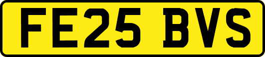 FE25BVS