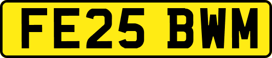 FE25BWM