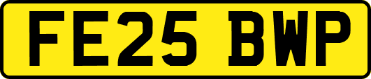 FE25BWP