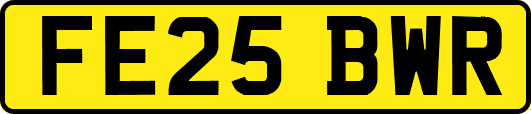 FE25BWR