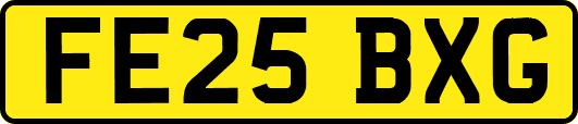 FE25BXG