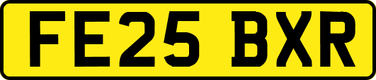 FE25BXR