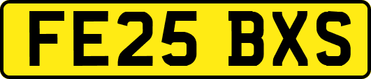 FE25BXS