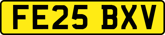 FE25BXV