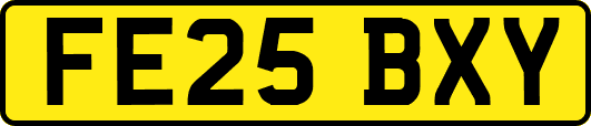 FE25BXY