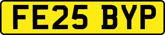FE25BYP