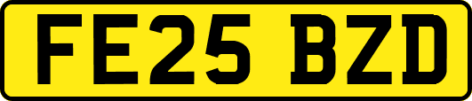 FE25BZD