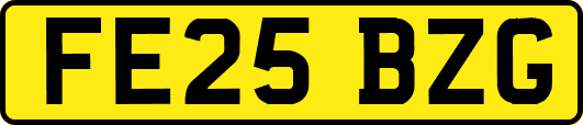 FE25BZG