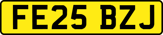 FE25BZJ