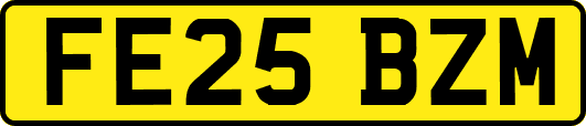 FE25BZM