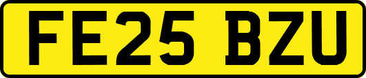 FE25BZU