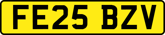 FE25BZV