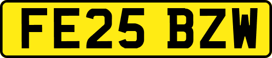 FE25BZW