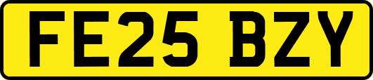 FE25BZY
