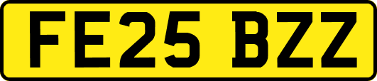 FE25BZZ
