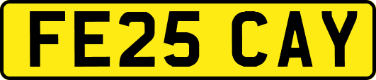 FE25CAY