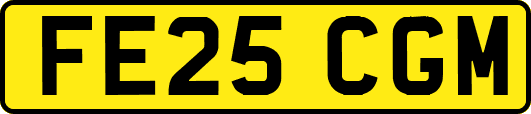 FE25CGM