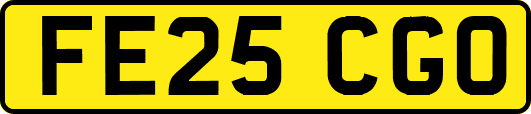 FE25CGO