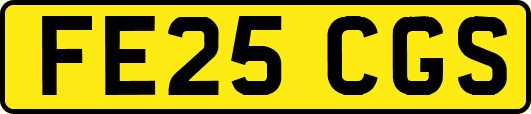 FE25CGS
