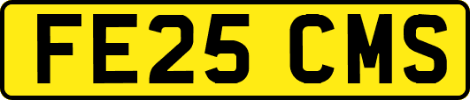 FE25CMS
