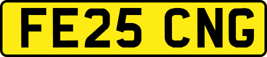 FE25CNG
