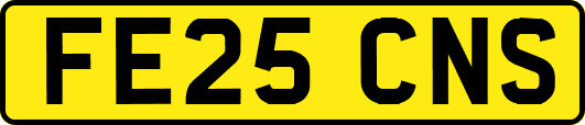 FE25CNS