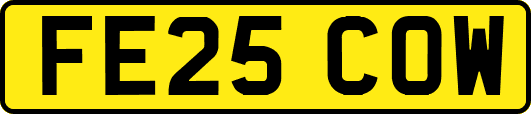 FE25COW