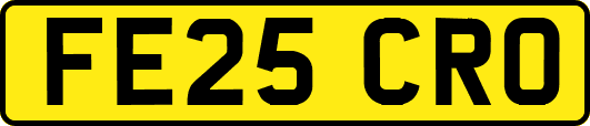 FE25CRO