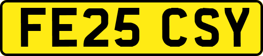 FE25CSY