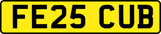FE25CUB