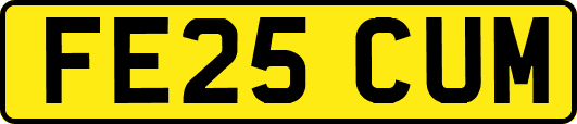 FE25CUM