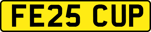 FE25CUP