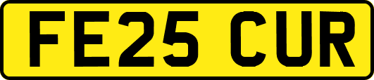 FE25CUR