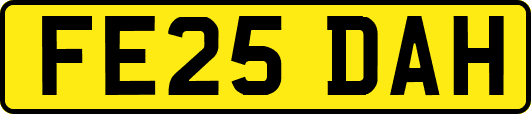 FE25DAH