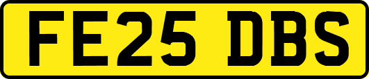 FE25DBS