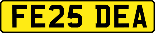 FE25DEA