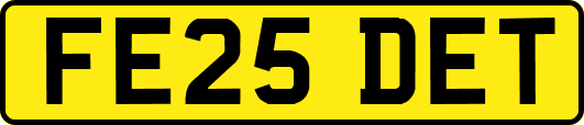 FE25DET