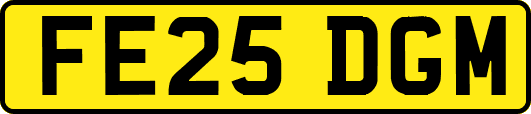 FE25DGM