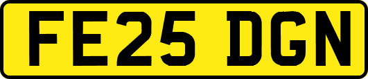 FE25DGN
