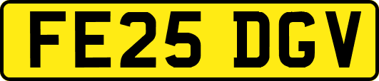 FE25DGV