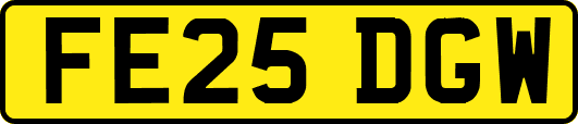 FE25DGW