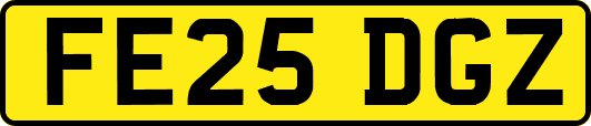 FE25DGZ