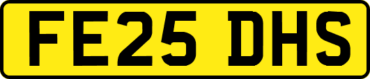 FE25DHS