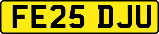 FE25DJU