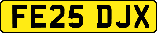 FE25DJX