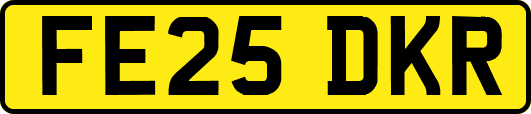 FE25DKR