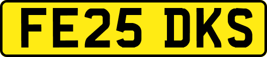 FE25DKS
